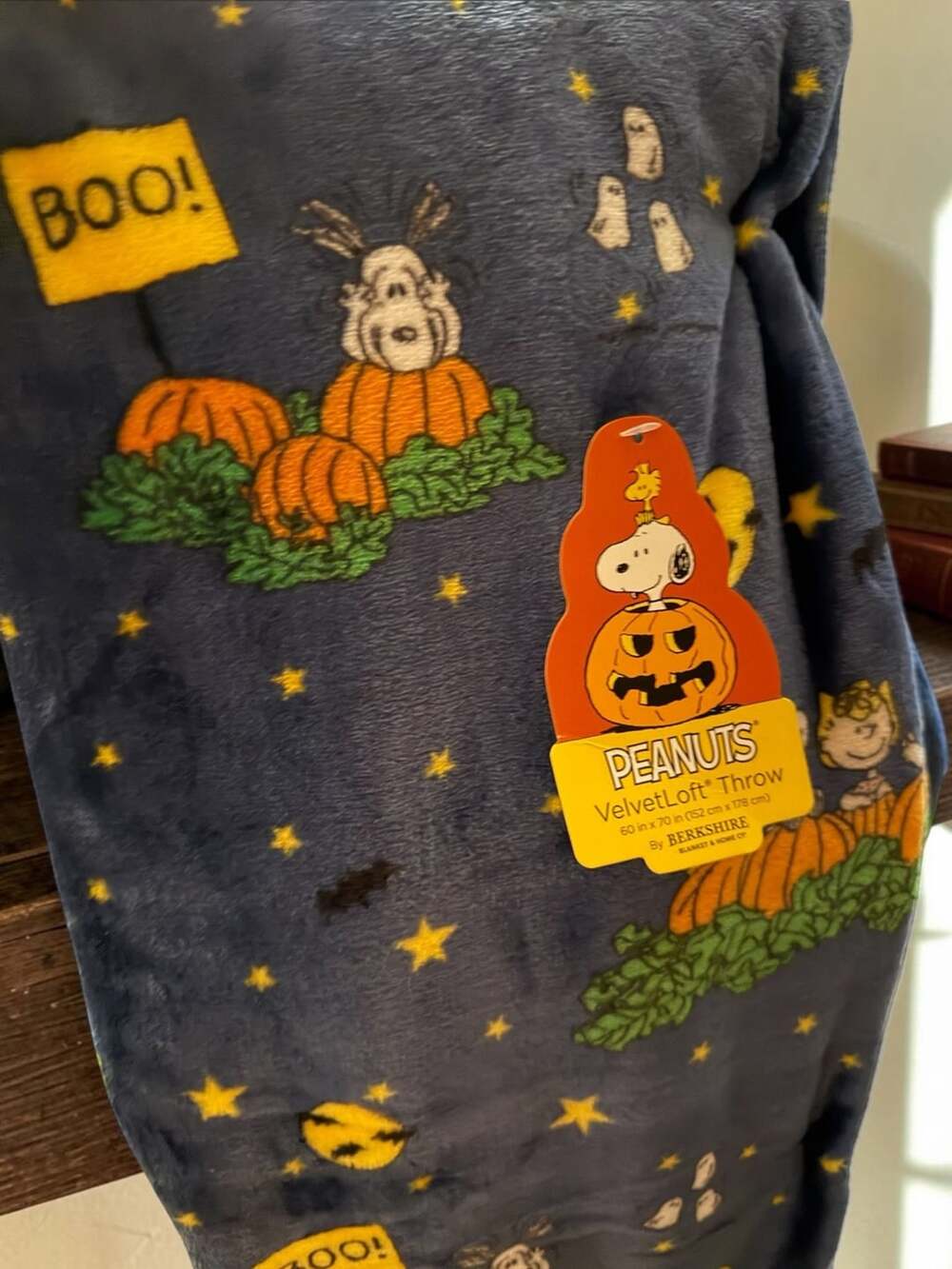 Peanuts Snoopy Halloween VelvetLoft Throw Blanket 60 in x 70 in by Berkshire